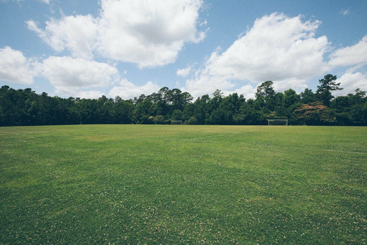 How to Create a DIY Backyard Football Field